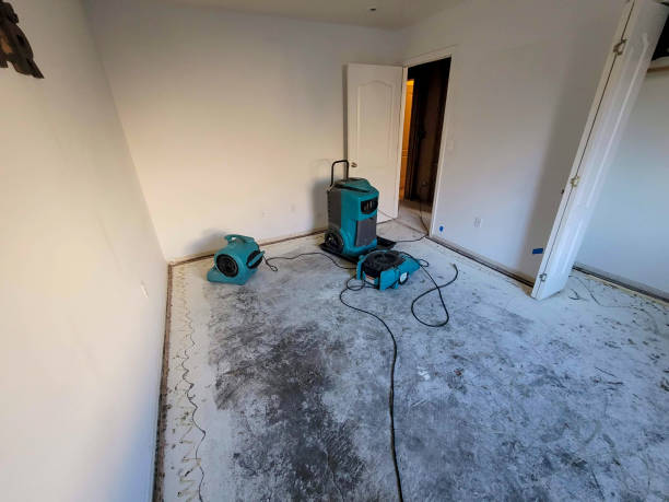 Best Fire Damage Restoration  in Hubbard, TX