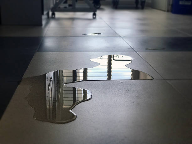 Best Water damage contractors near me  in Hubbard, TX