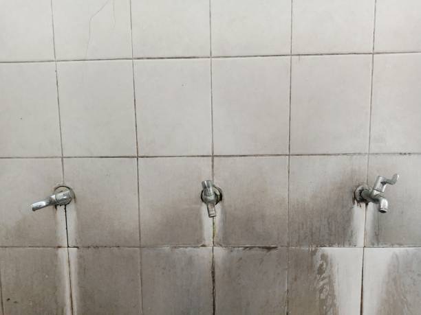 Best Ceiling water damage repair  in Hubbard, TX