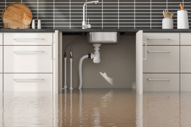 Best Residential water damage restoration  in Hubbard, TX