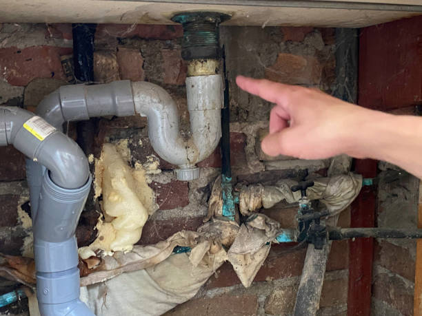Best Basement water damage restoration  in Hubbard, TX