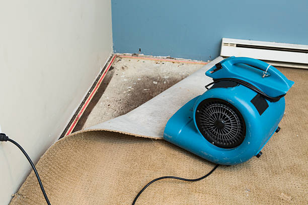 Hubbard, TX Water damage restoration Company